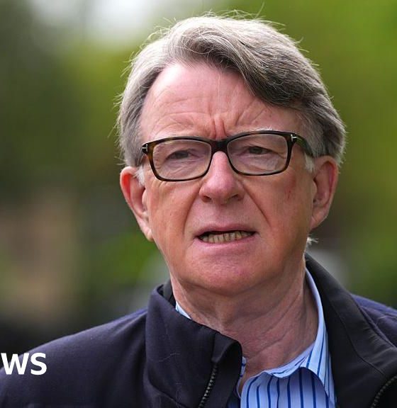 Sacked civil servant to speak out in Mandelson vetting row