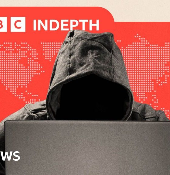 Scams have grown more sophisticated, but people are fighting back