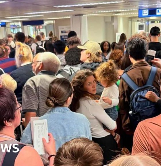 EasyJet passengers describe EU border 'nightmare'