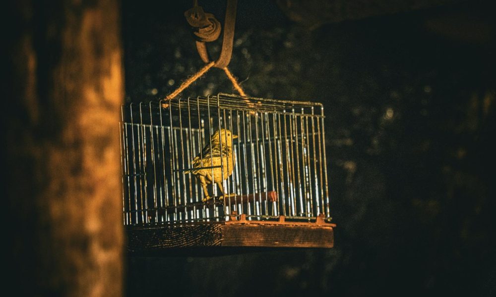 Bitcoin devs float 'quantum tripwire' that triggers coin freeze only if attack is proven