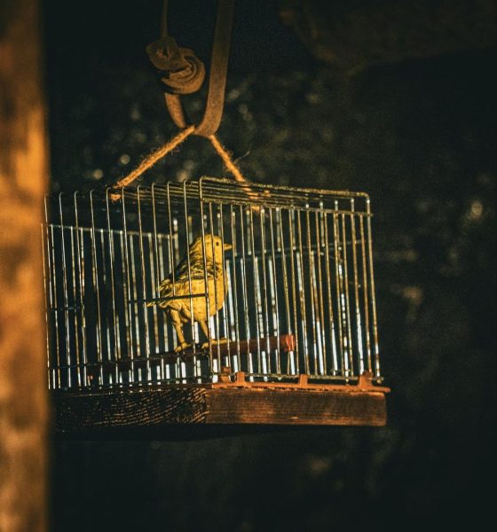 Bitcoin devs float 'quantum tripwire' that triggers coin freeze only if attack is proven