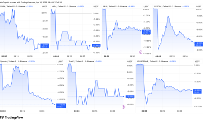 Altcoins Decline After Binance Adds Monitoring Tags.