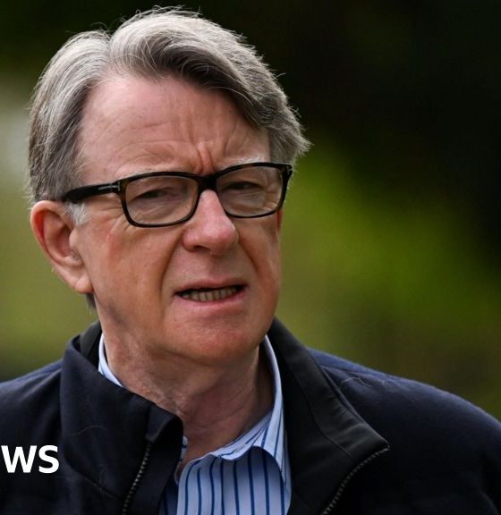 Keir Starmer would have blocked Peter Mandelson over vetting , says David Lammy