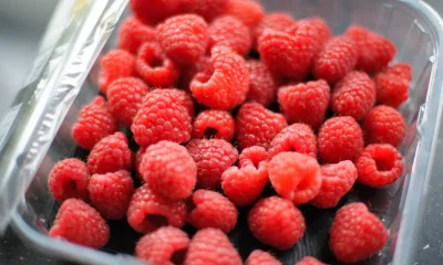 Why Raspberries Have Black Sheets But Strawberries Don't