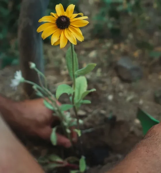 9 Gardening Jobs To Do In April