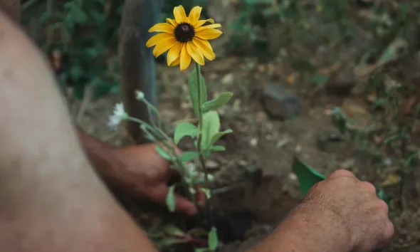 9 Gardening Jobs To Do In April