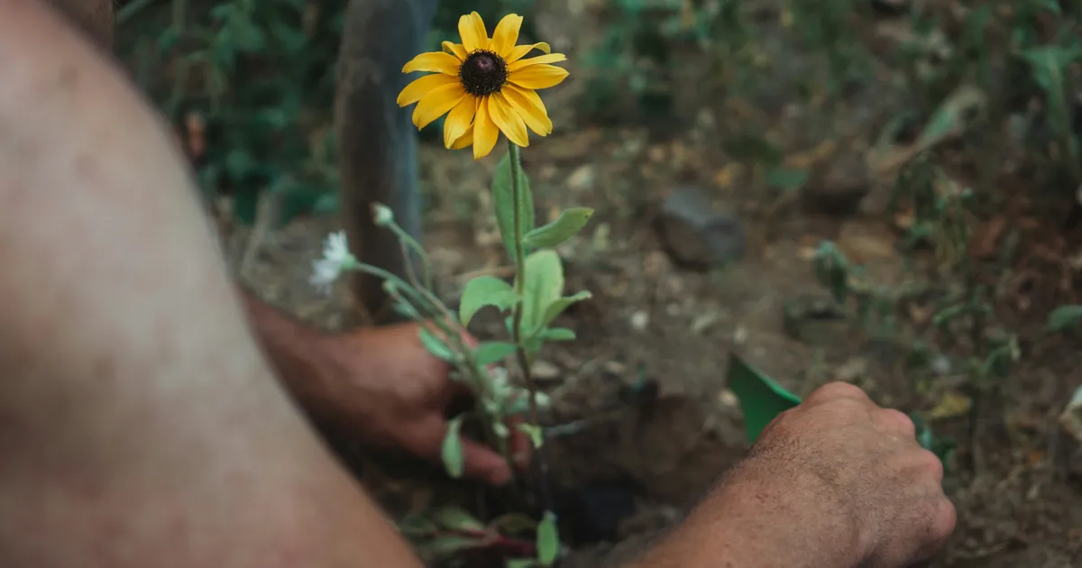 9 Gardening Jobs To Do In April