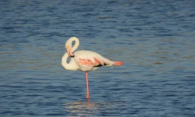 6 Easy Tests To Tell How Well You're Ageing