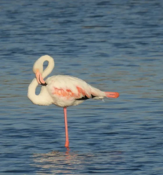 6 Easy Tests To Tell How Well You're Ageing