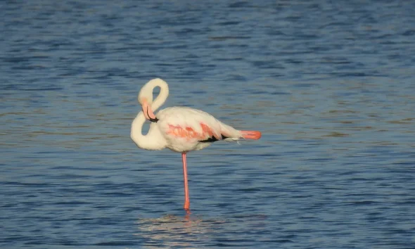 6 Easy Tests To Tell How Well You're Ageing