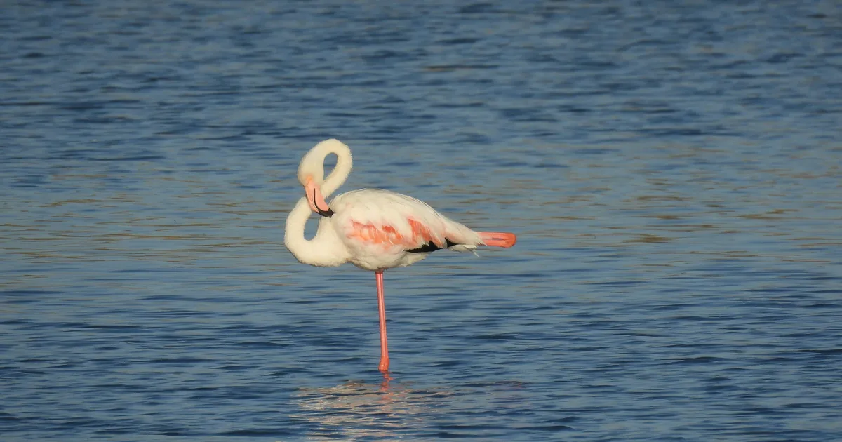 6 Easy Tests To Tell How Well You're Ageing