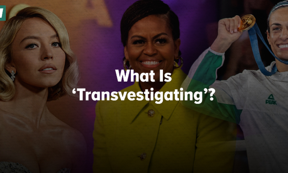 What Is ‘Transvestigating’?