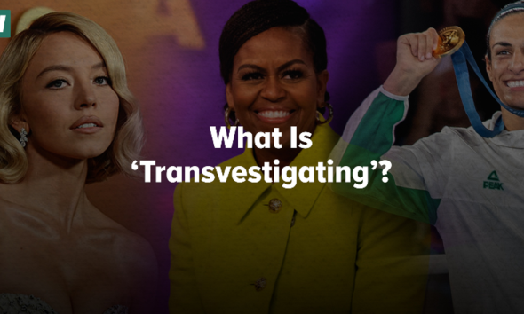 What Is ‘Transvestigating’?