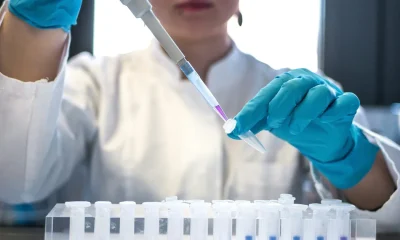 Scientists Have Found A Way To Stop Ageing 'Zombie Cells'