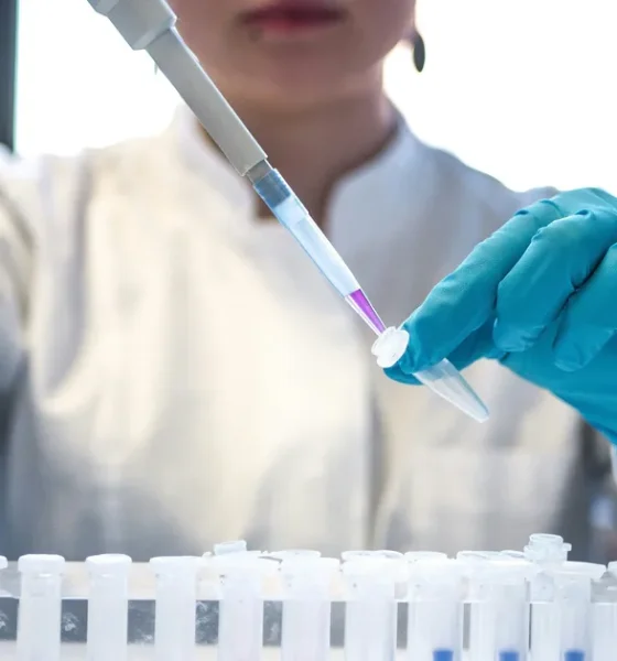 Scientists Have Found A Way To Stop Ageing 'Zombie Cells'