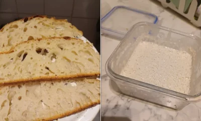some just-fine bread on the left: a starter that would probably be bubblier if I fed it more on the right