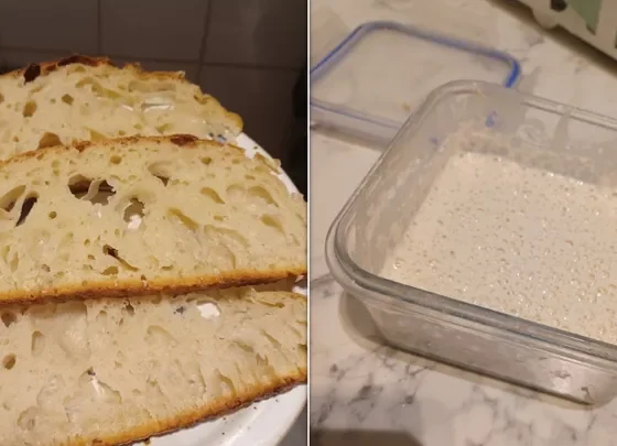 some just-fine bread on the left: a starter that would probably be bubblier if I fed it more on the right