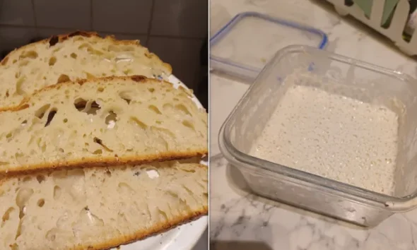 some just-fine bread on the left: a starter that would probably be bubblier if I fed it more on the right