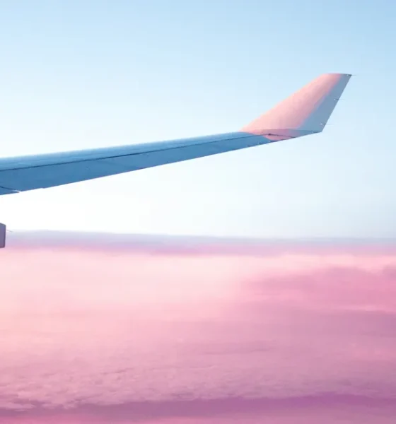 What Happens When A Baby Is Born On A Plane?