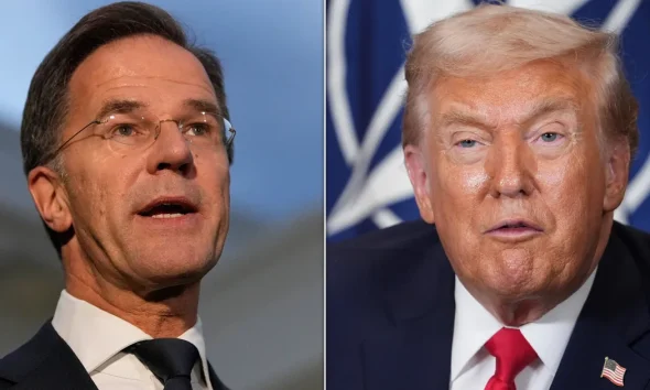 Not Even Nato Chief Mark Rutte Is Safe From Trump's Wrath Over Iran