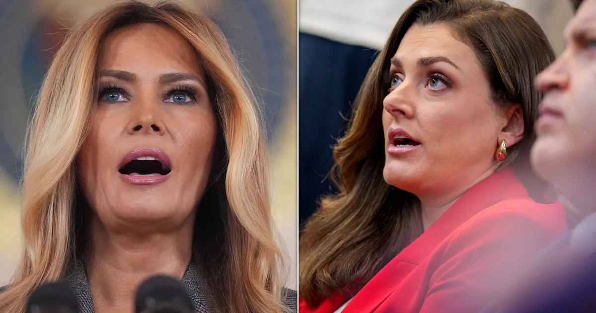 CNN Reporter Analyses Timing Of Melania Trump's Epstein Remarks