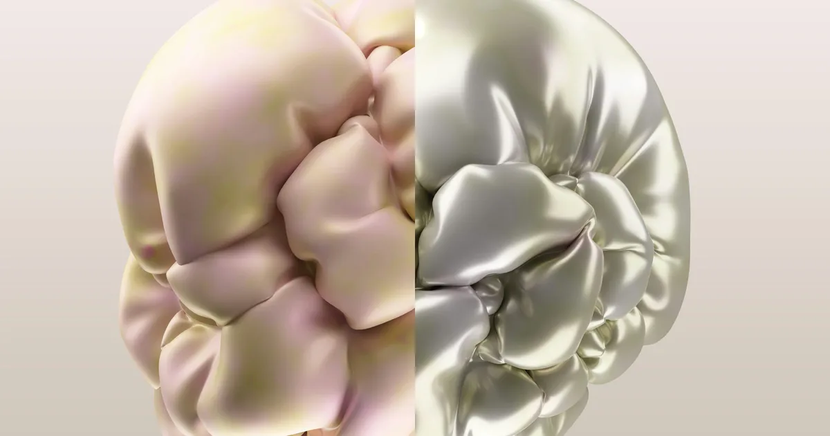 Scientists Identify Protein That Fuels Brain Ageing