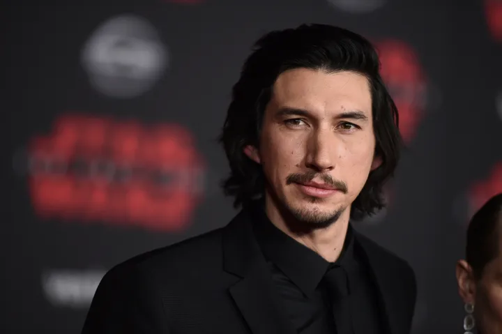 Adam Driver in 2017