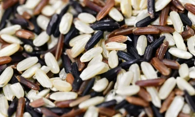 Brown, White, Or Wild: What's The Healthiest Type Of Rice?