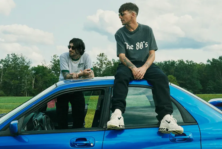 Zayn Malik and Louis Tomlinson began shooting their documentary last year