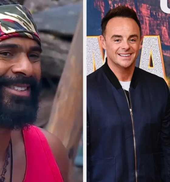 I'm A Celebrity Hosts Ant And Dec Address David Haye Controversy