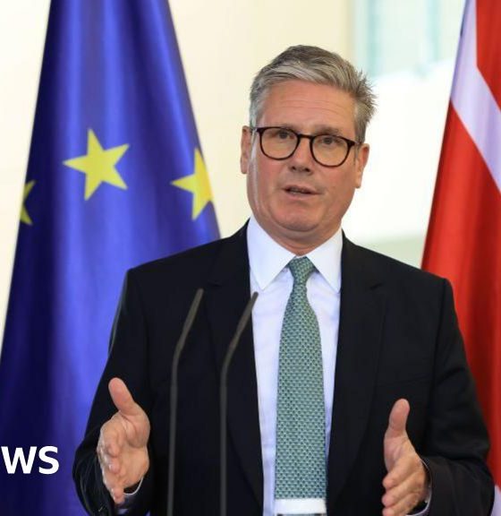 UK could adopt EU single market rules under new legislation