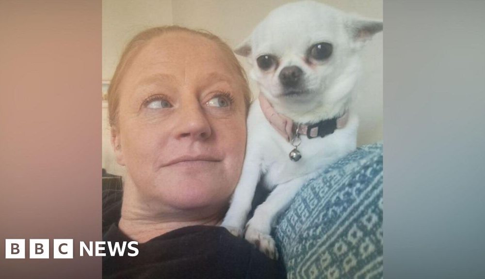 Rescue centre facing eviction makes funding appeal