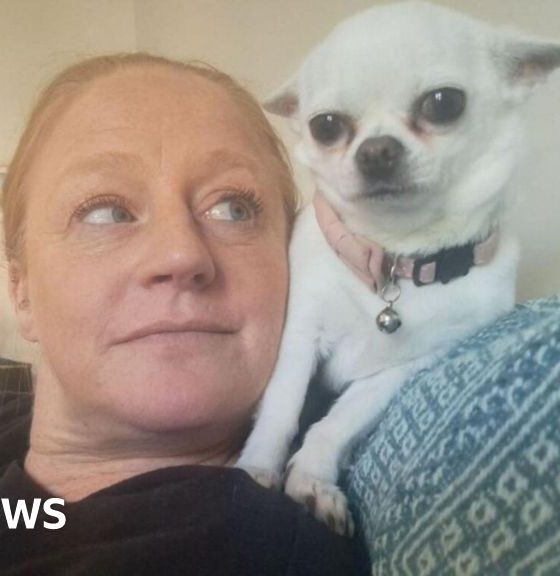 Rescue centre facing eviction makes funding appeal