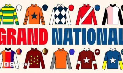 A Grand National graphic with the silks of I Am Maximus, Panic Attack, Banbridge, Grangeclare West, Gerri Colombe, Haiti Couleurs, Monty’s Star, Captain Cody, Stellar Story and Jordans on.