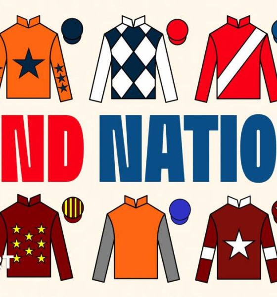 A Grand National graphic with the silks of I Am Maximus, Panic Attack, Banbridge, Grangeclare West, Gerri Colombe, Haiti Couleurs, Monty’s Star, Captain Cody, Stellar Story and Jordans on.