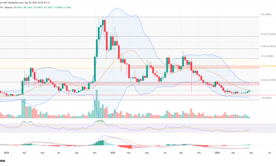 Top 3 Meme Coins to Watch in May 2026