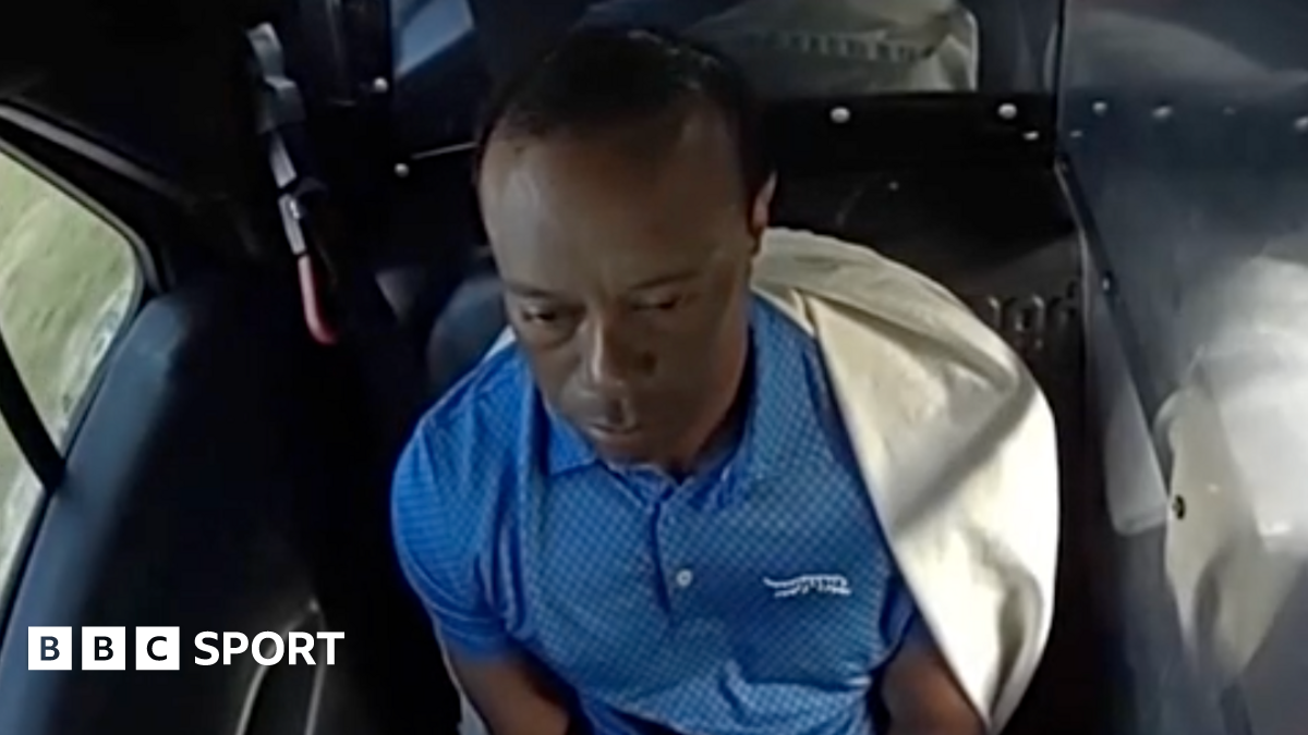 Tiger Woods sits in the back of a police car after being arrested