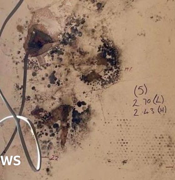 Four arrested over suspected home insulation scheme fraud