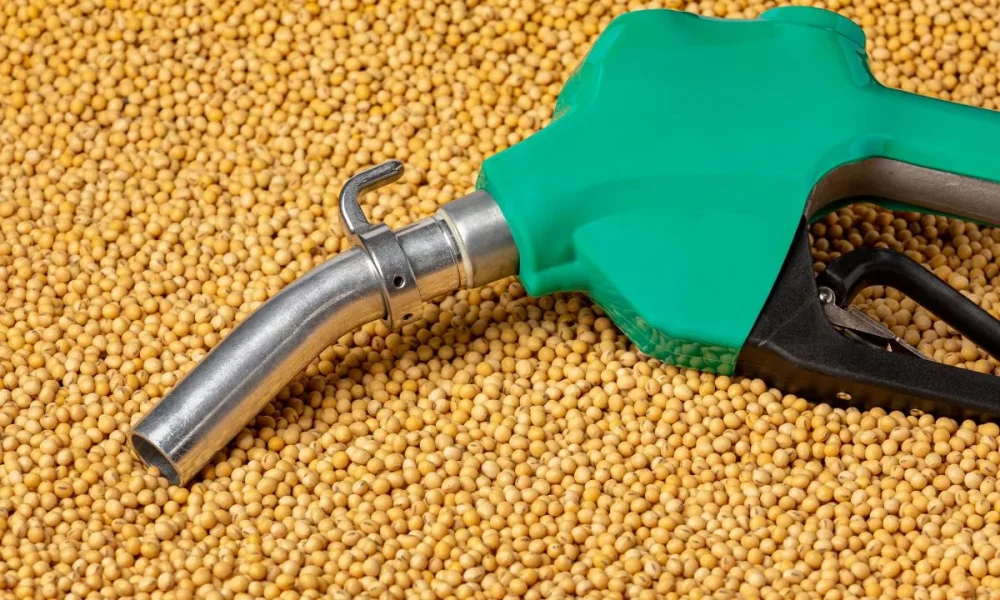 Is fuel winning the food-versus-fuel debate?