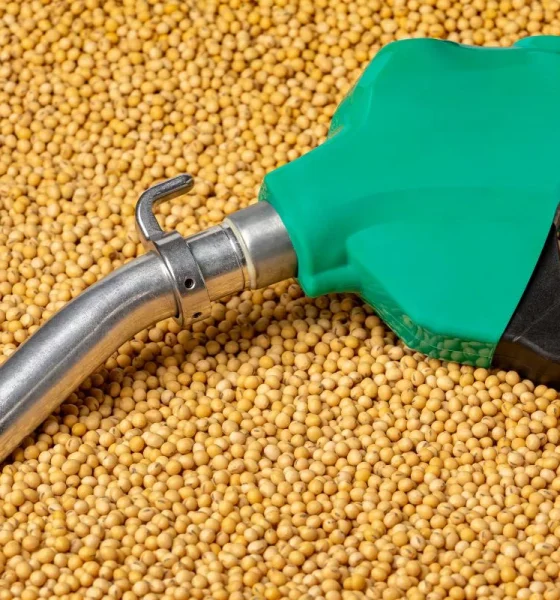Is fuel winning the food-versus-fuel debate?