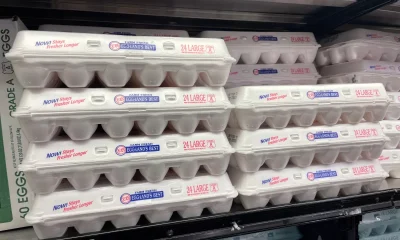 Egg market gives Cal-Maine ‘real-time test’