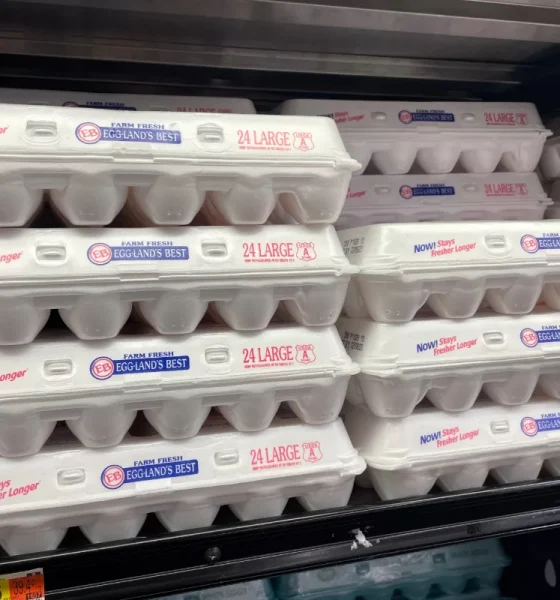Egg market gives Cal-Maine ‘real-time test’