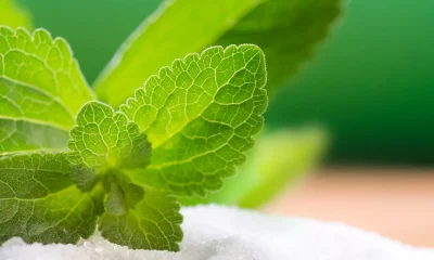 Companies partner to accelerate development of sugar reduction solutions