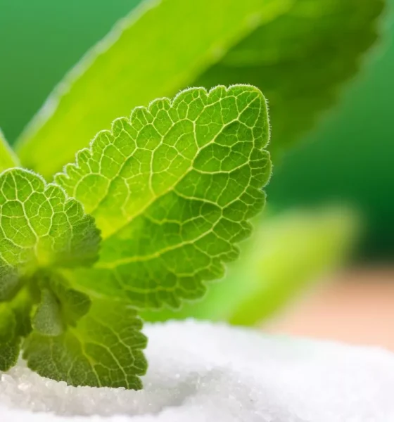 Companies partner to accelerate development of sugar reduction solutions