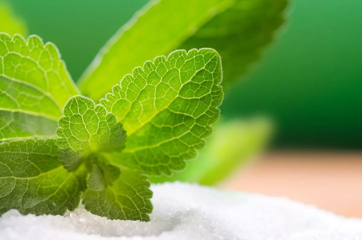 Companies partner to accelerate development of sugar reduction solutions