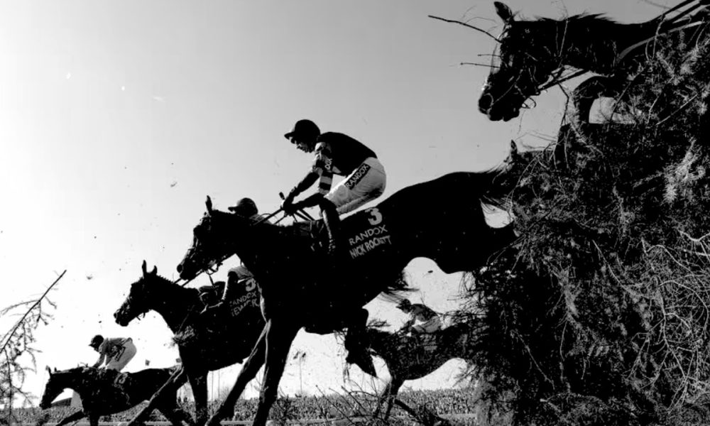 Horse death toll sparks renewed calls for Aintree boycott