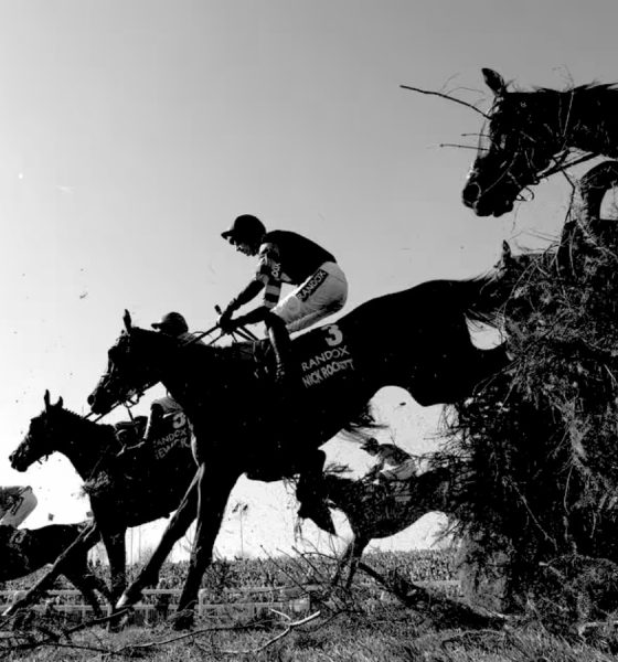 Horse death toll sparks renewed calls for Aintree boycott