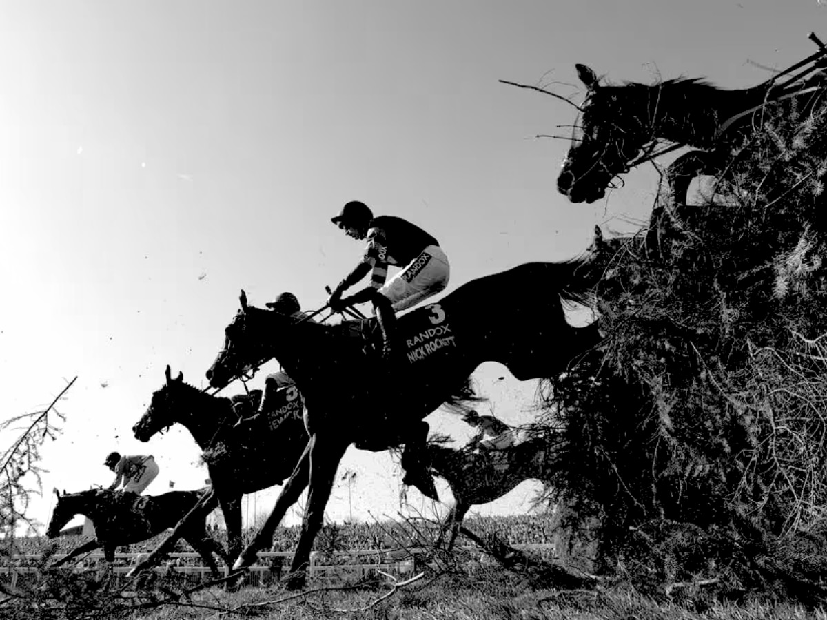 Horse death toll sparks renewed calls for Aintree boycott