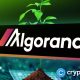 Algorand Surges 50% in a Month After Google's Quantum Flag