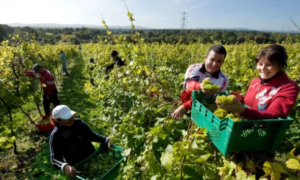 Who does the public think should be allowed to come to work in the UK? Let’s ask them